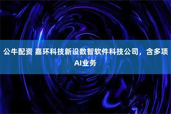 公牛配资 嘉环科技新设数智软件科技公司，含多项AI业务