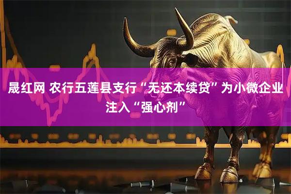 晟红网 农行五莲县支行“无还本续贷”为小微企业注入“强心剂”