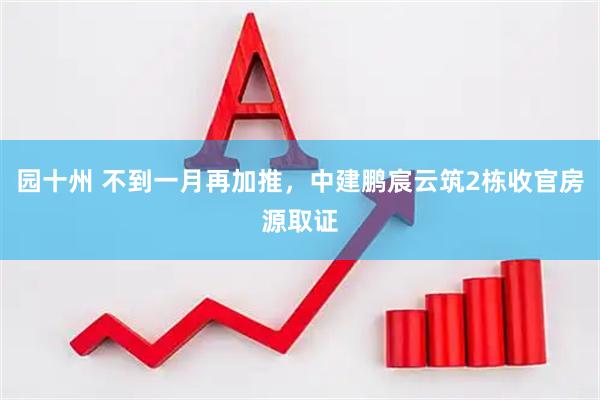 园十州 不到一月再加推，中建鹏宸云筑2栋收官房源取证