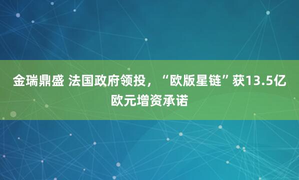 金瑞鼎盛 法国政府领投，“欧版星链”获13.5亿欧元增资承诺