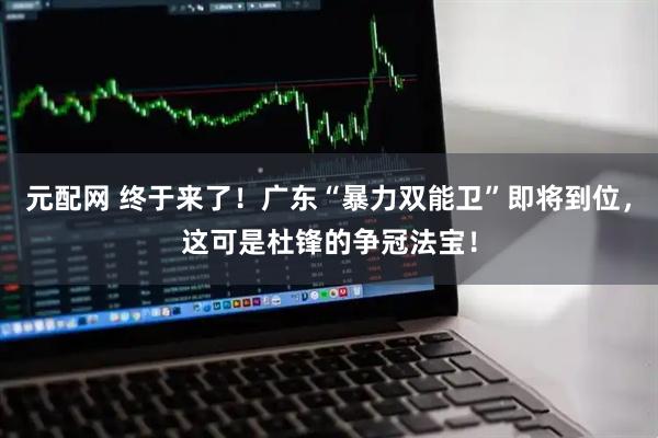 元配网 终于来了！广东“暴力双能卫”即将到位，这可是杜锋的争冠法宝！