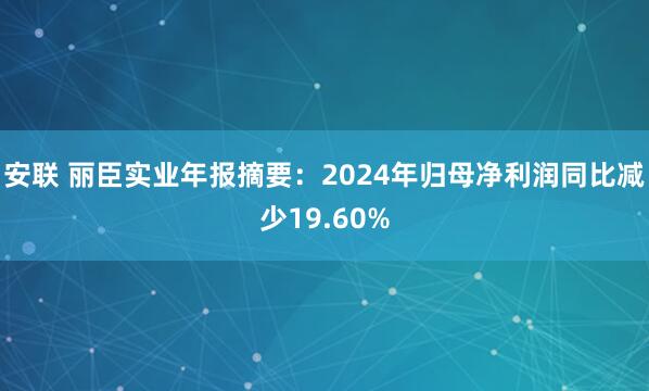 安联 丽臣实业年报摘要：2024年归母净利润同比减少19.60%